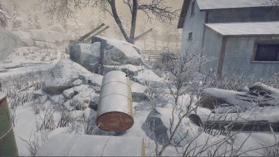 UNCOVERED : 1945